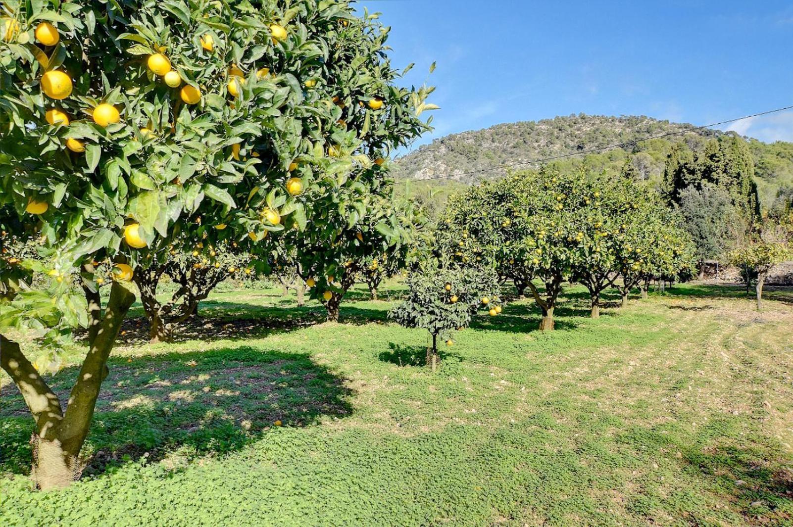 Villa Bell Lloc By Alquilair Felanitx Bagian luar foto